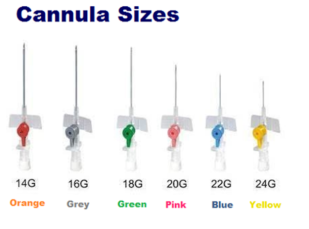 Intravenous Cannula's